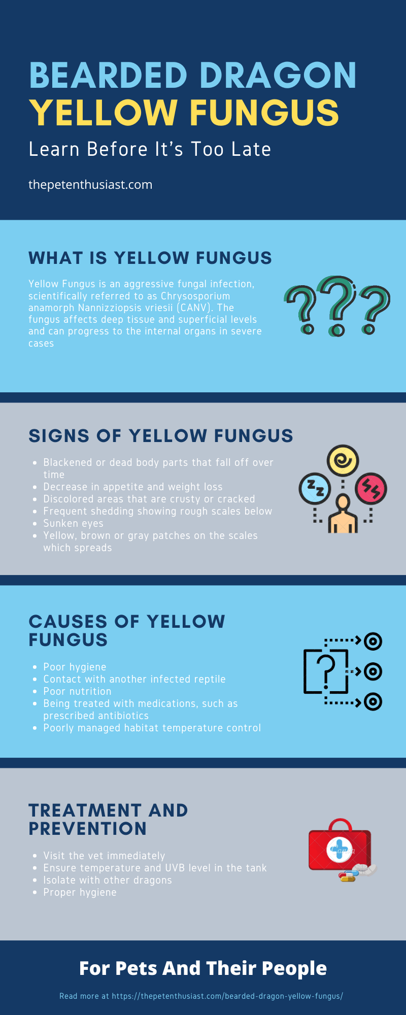 bearded dragon yellow fungus infographic