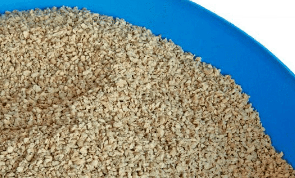 cat litter