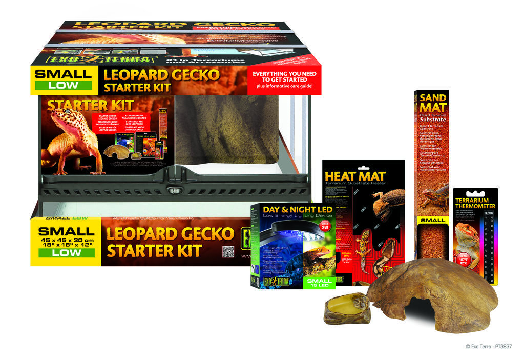 leopard gecko led lighting