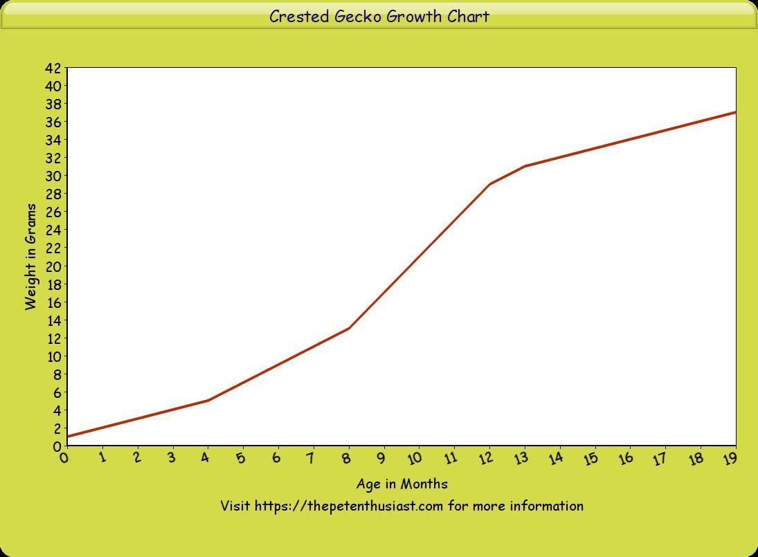 Crested Gecko Growth Chart By Weight