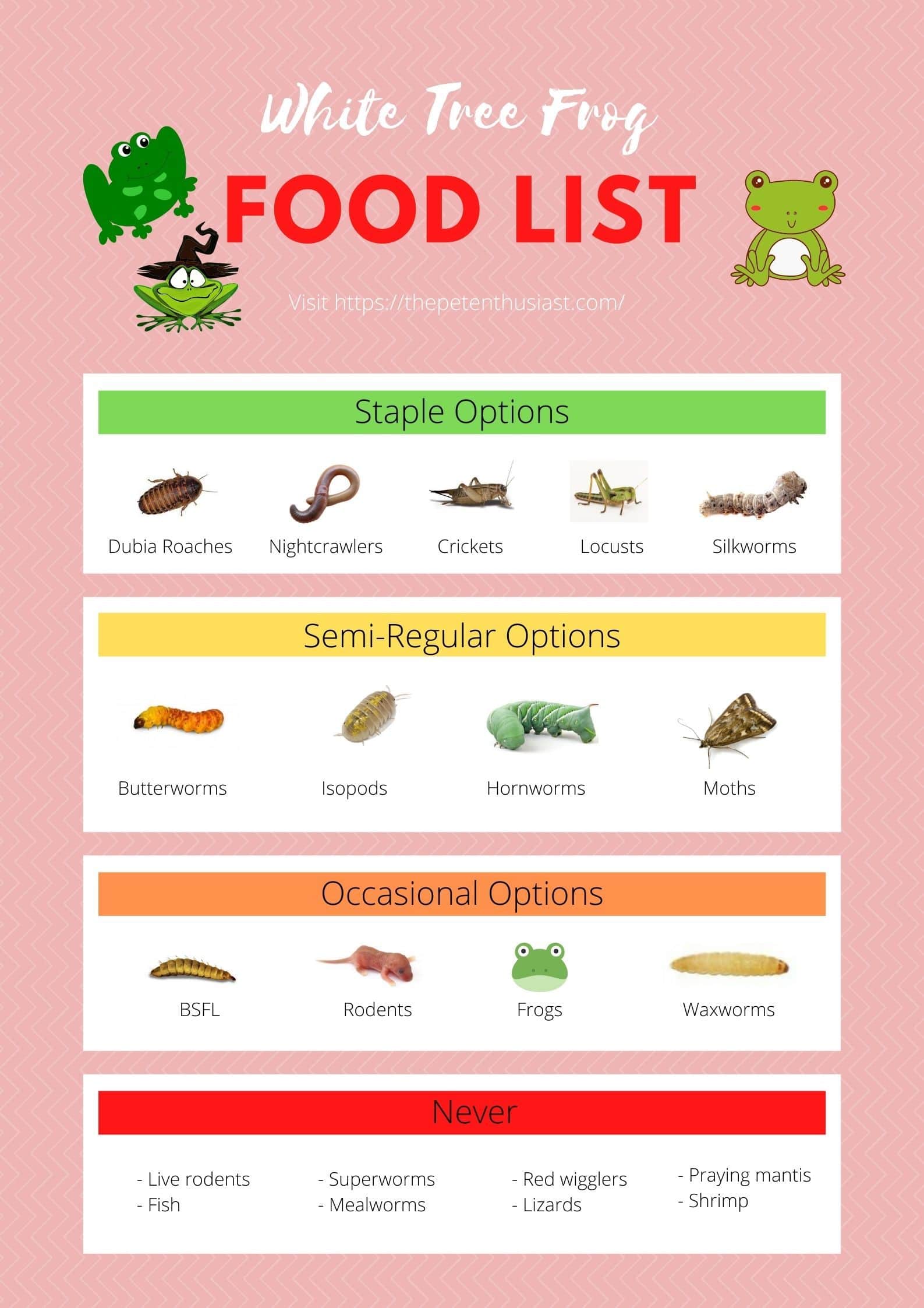 Pacman Frog Food Chart Pacman Frog, Frog Diet, Frog