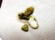 Ball Python Poop 101: What Does Healthy Ball Python Poop Look Like