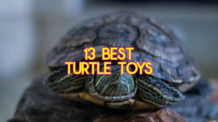 Toys For Turtles