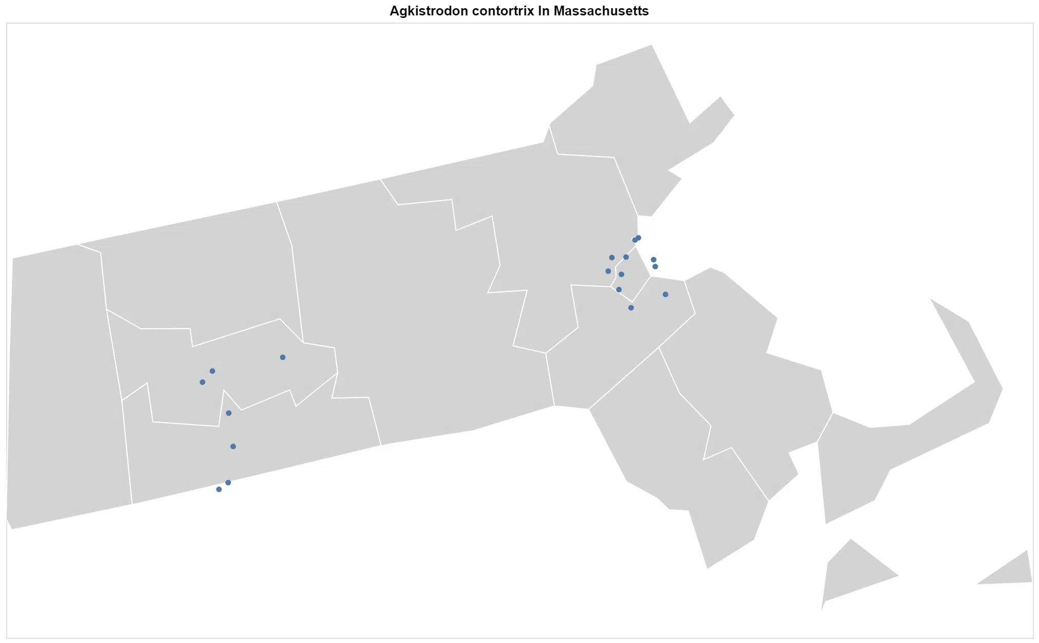 Agkistrodon contortrix Massachusetts map