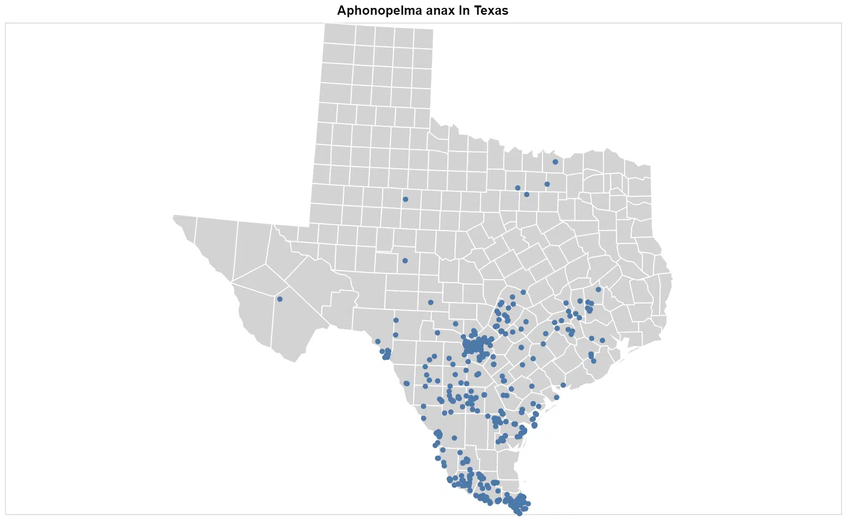 Aphonopelma anax Texas map