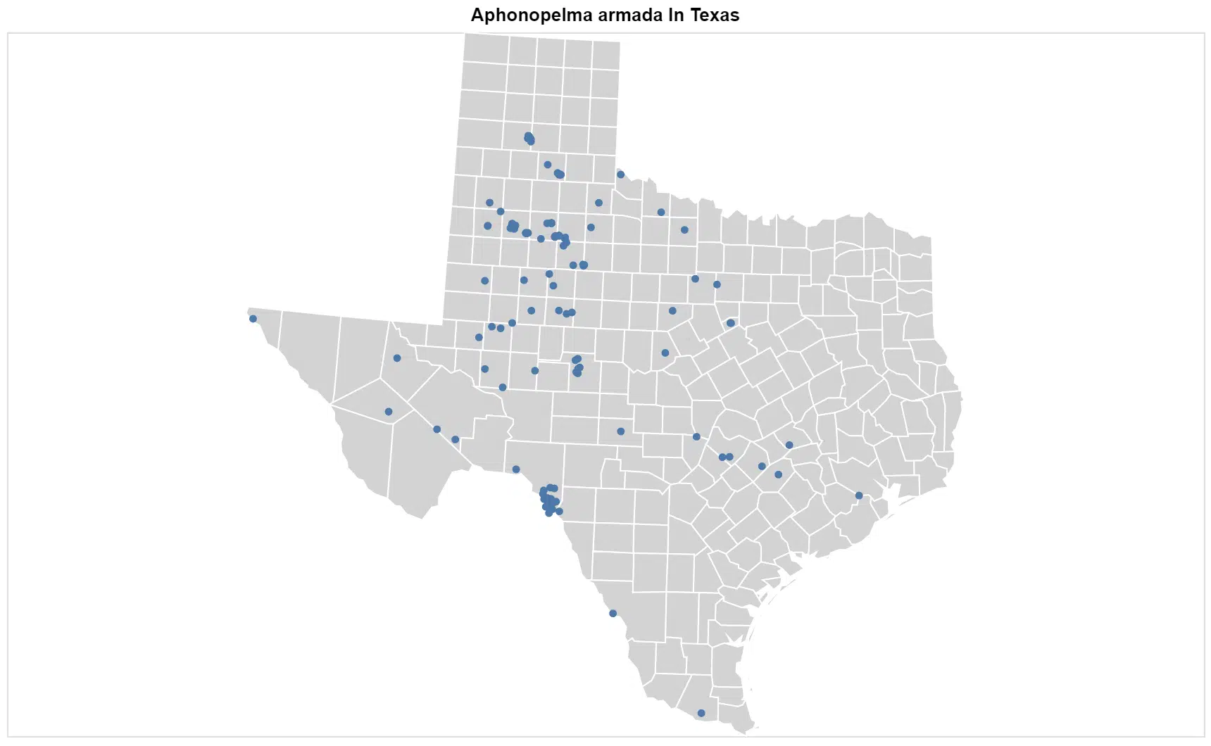 Aphonopelma armada Texas map