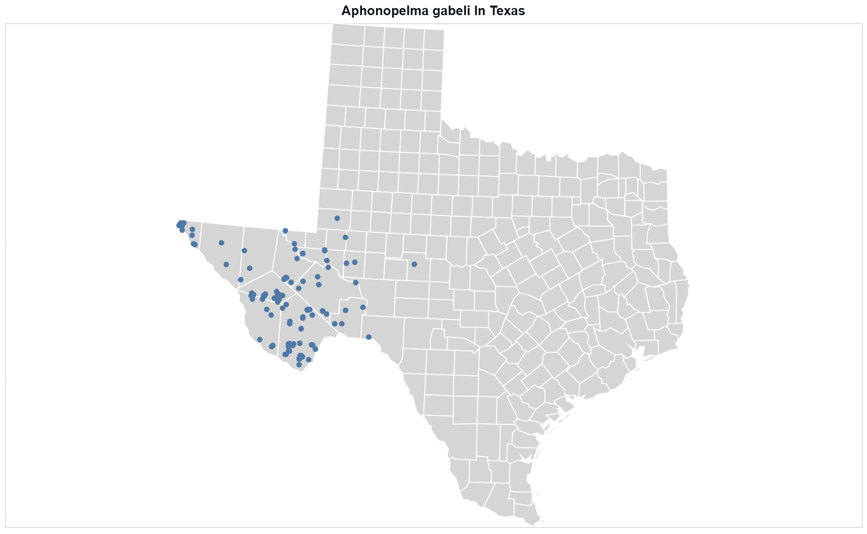 Aphonopelma gabeli Texas map