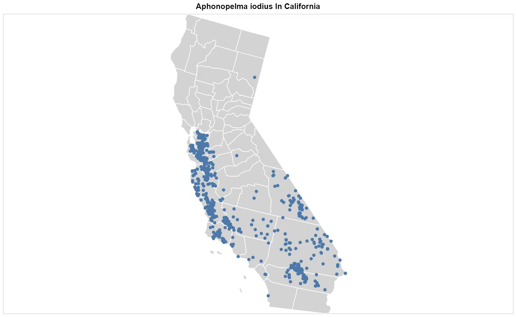 Aphonopelma iodius California map