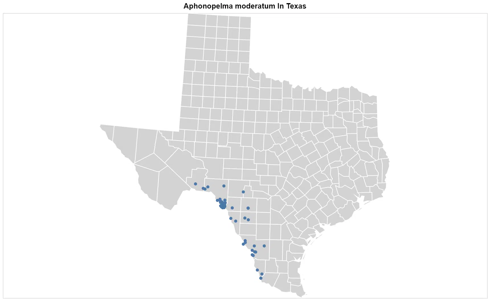 Aphonopelma moderatum Texas map