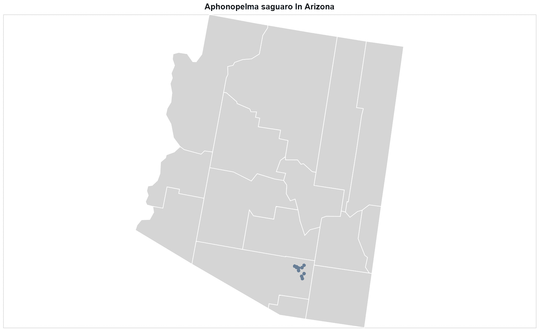 Aphonopelma saguaro map