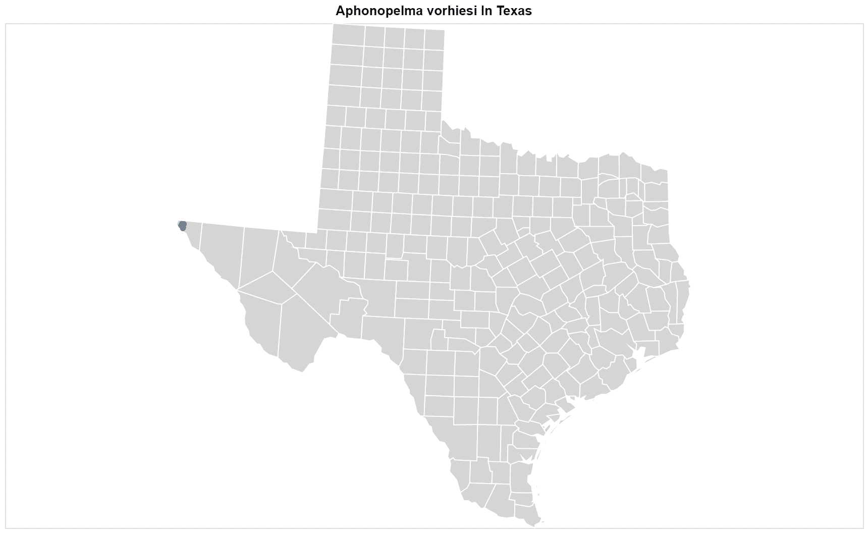 Aphonopelma vorhiesi Texas map
