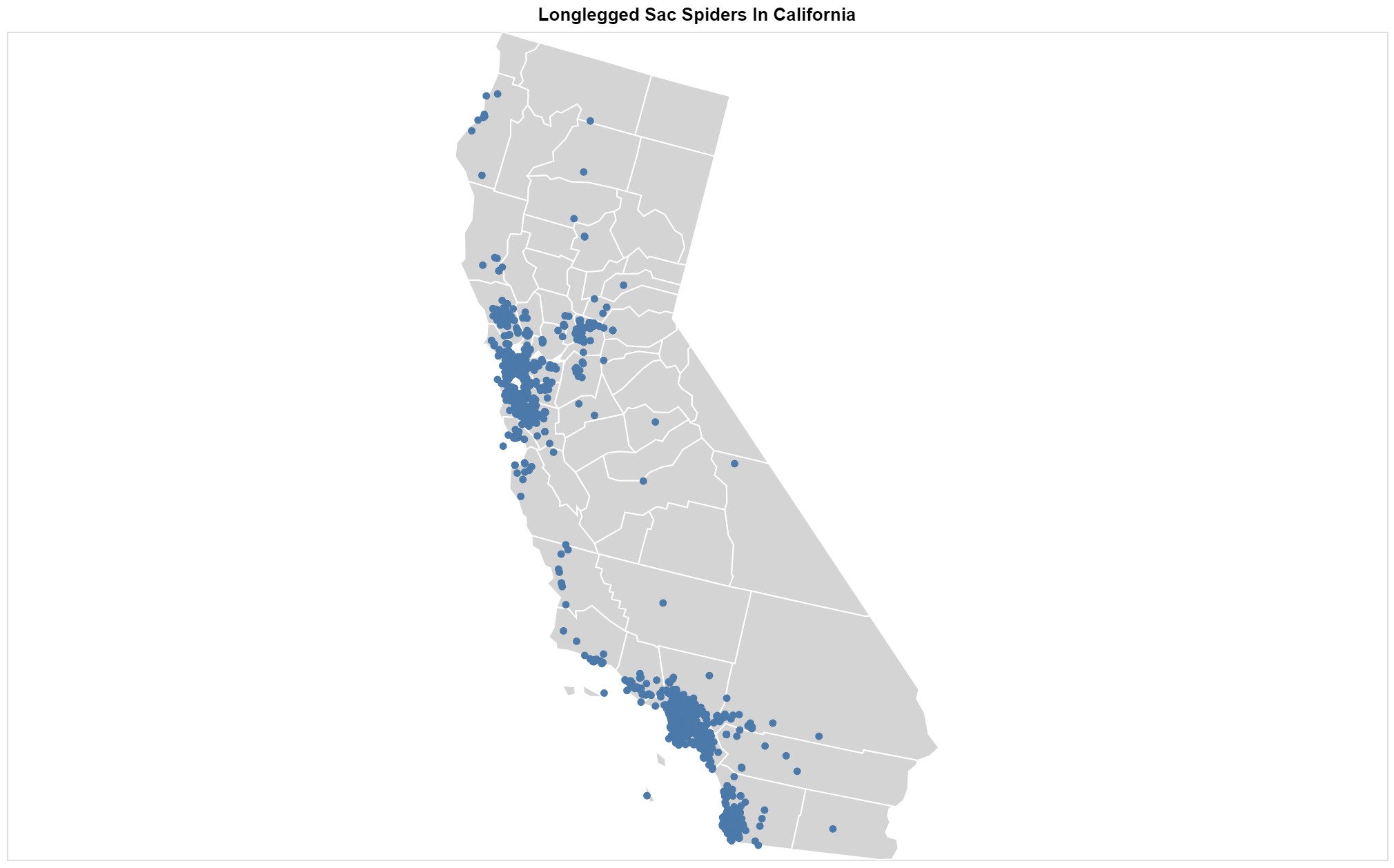 Cheiracanthium California map