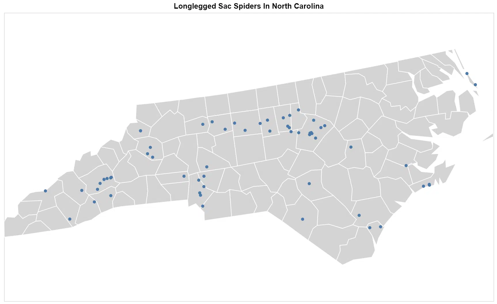 Cheiracanthium North Carolina map
