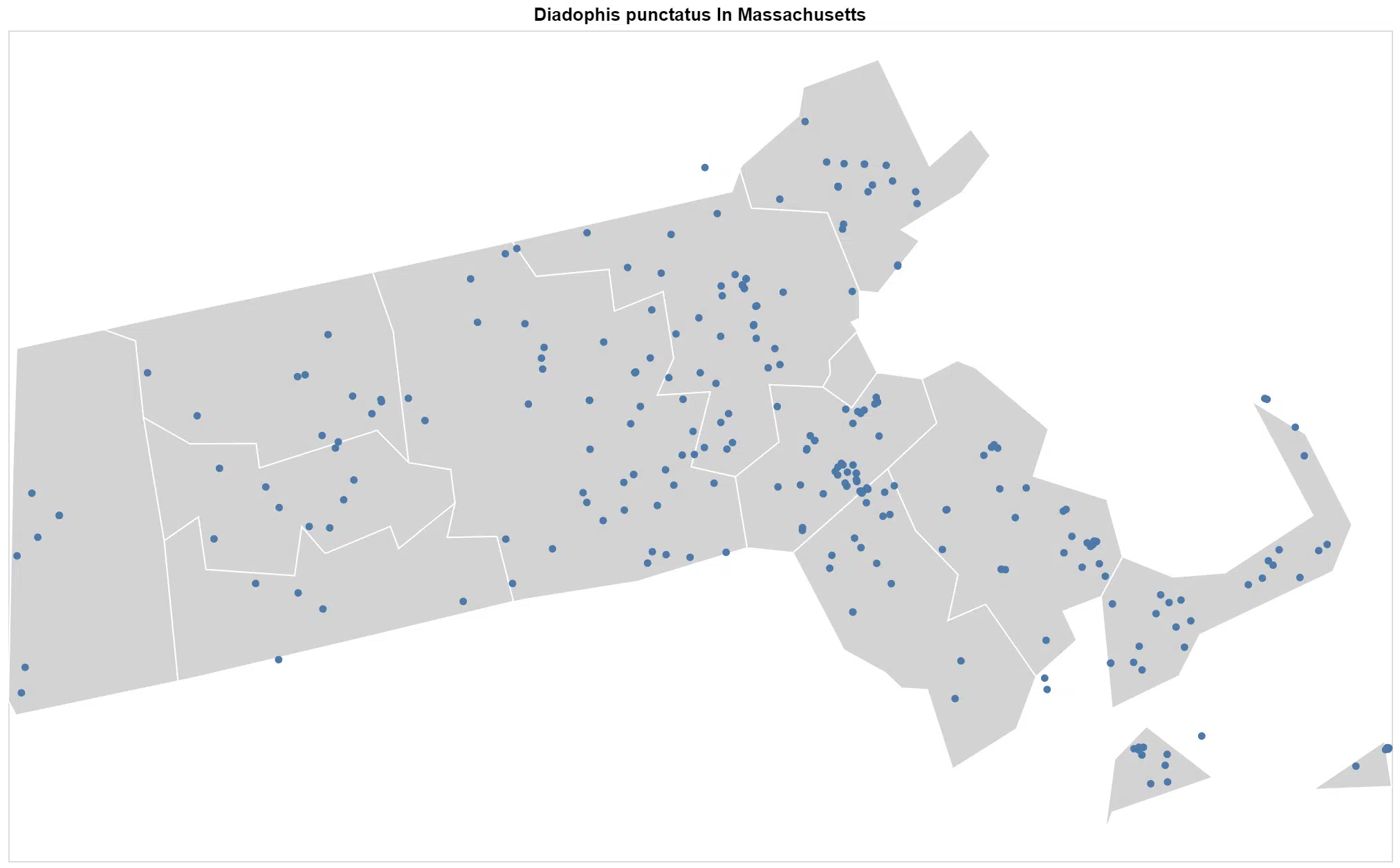 Diadophis punctatus edwardsii Massachusetts map