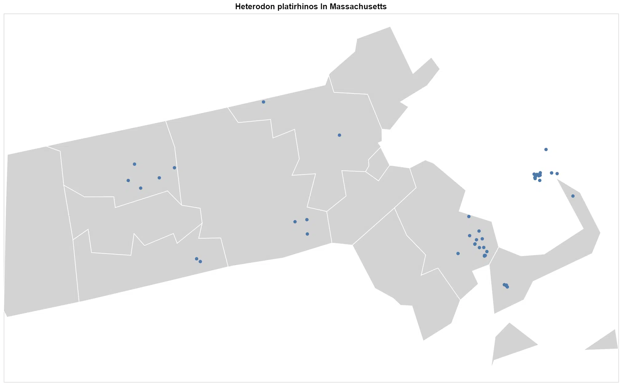 Heterodon platirhinos Massachusetts map