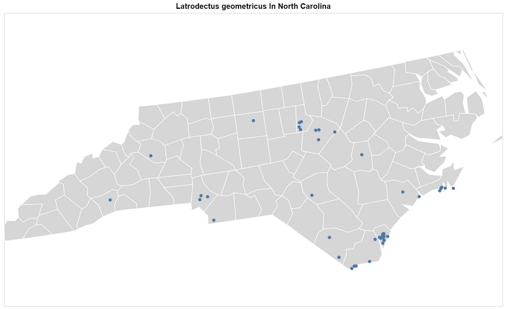 Latrodectus geometricus North Carolina map