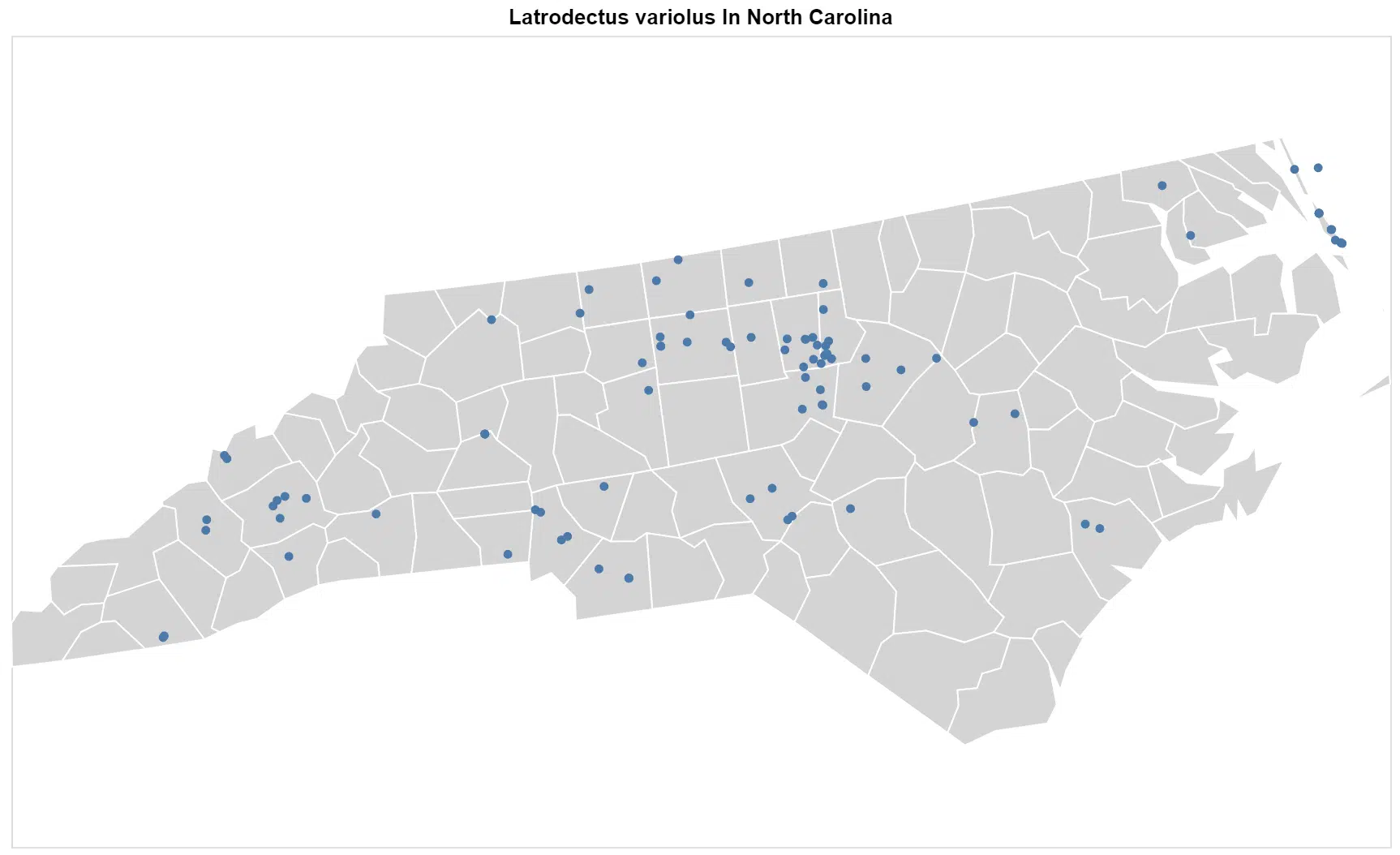 Latrodectus variolus North Carolina map