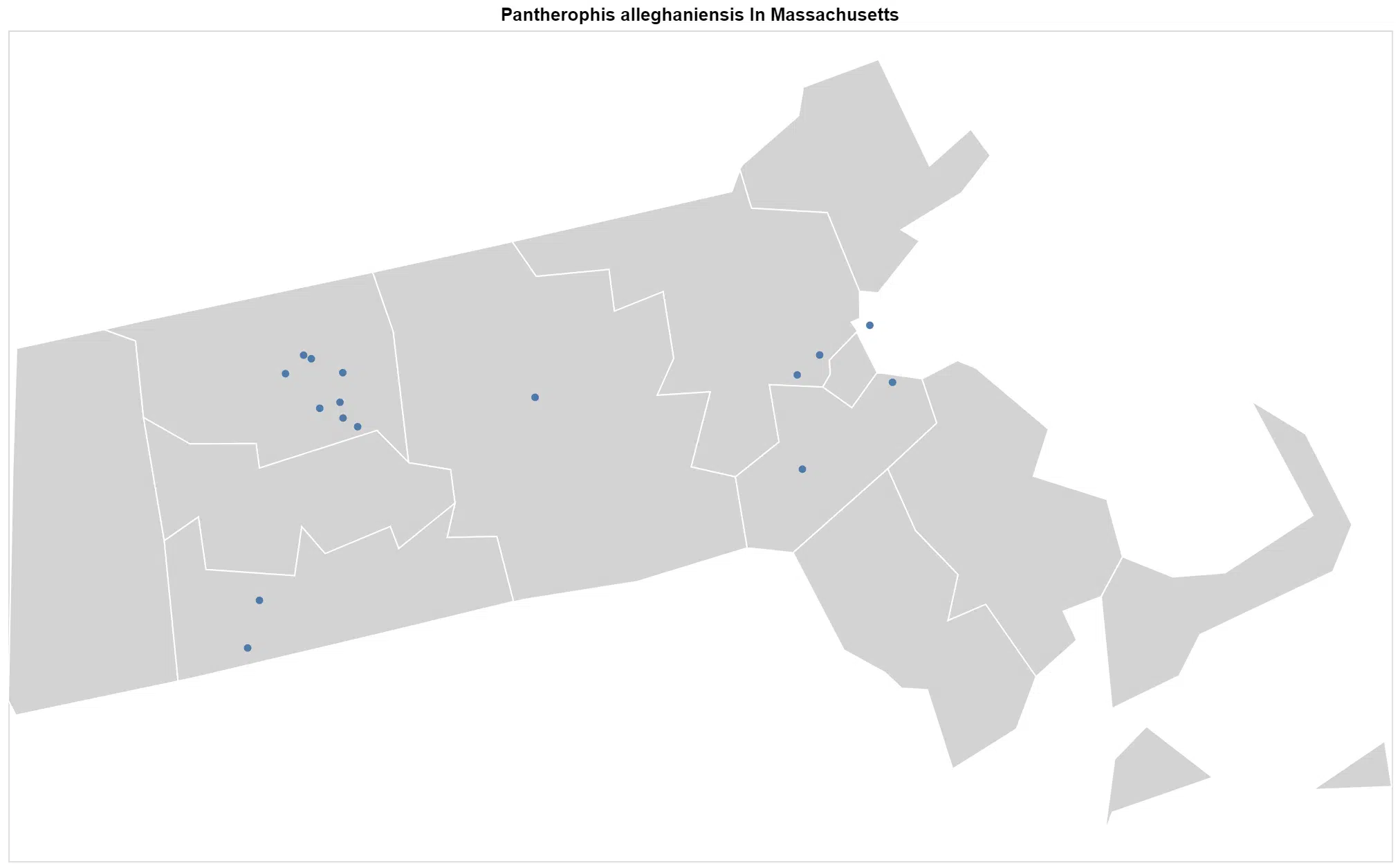 Pantherophis alleghaniensis Massachusetts map