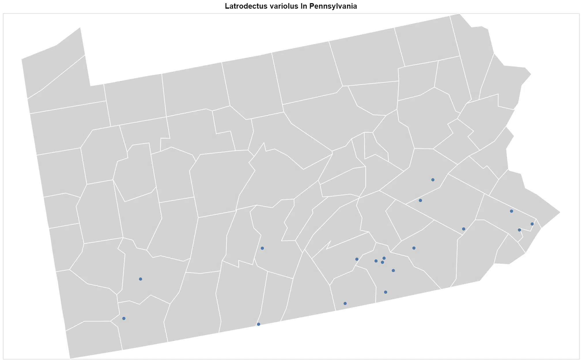Latrodectus variolus Pennsylvania map