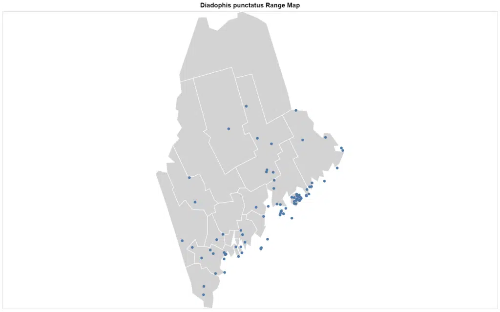 Diadophis punctatus Maine map
