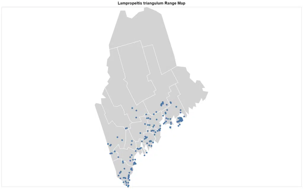 Lampropeltis triangulum Maine map