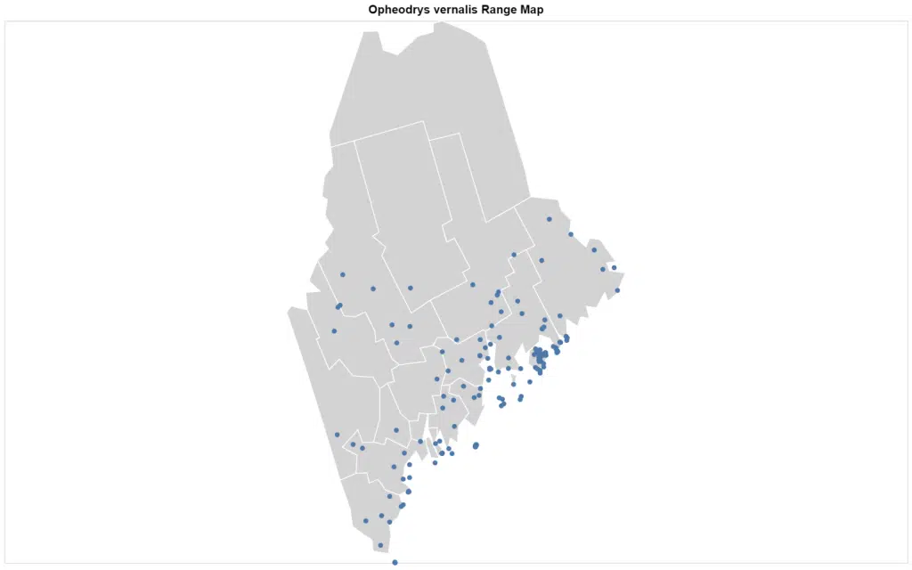 Opheodrys vernalis Maine map