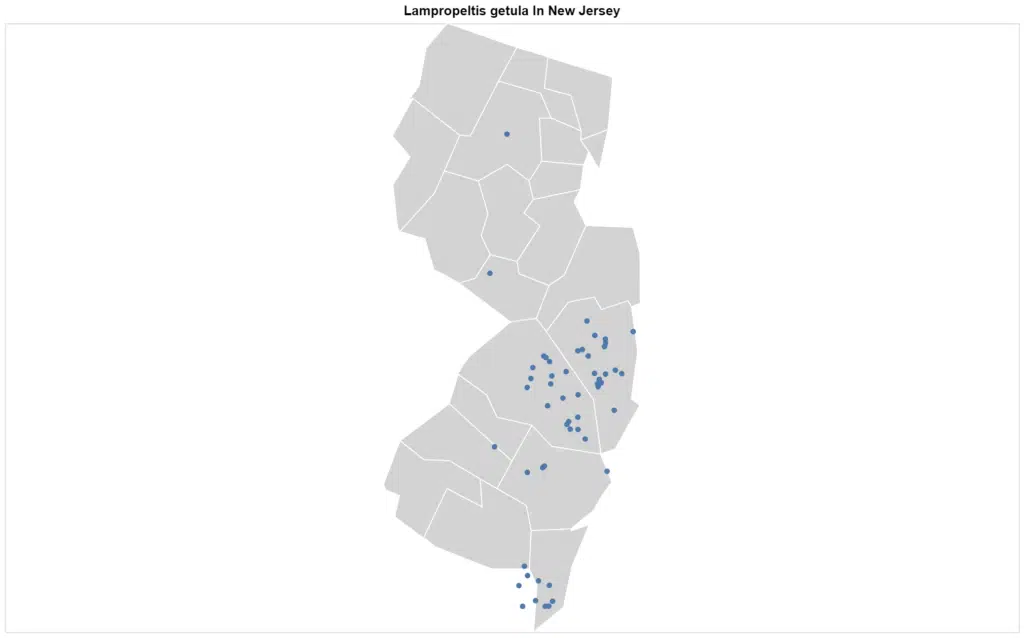 Lampropeltis getula New Jersey map