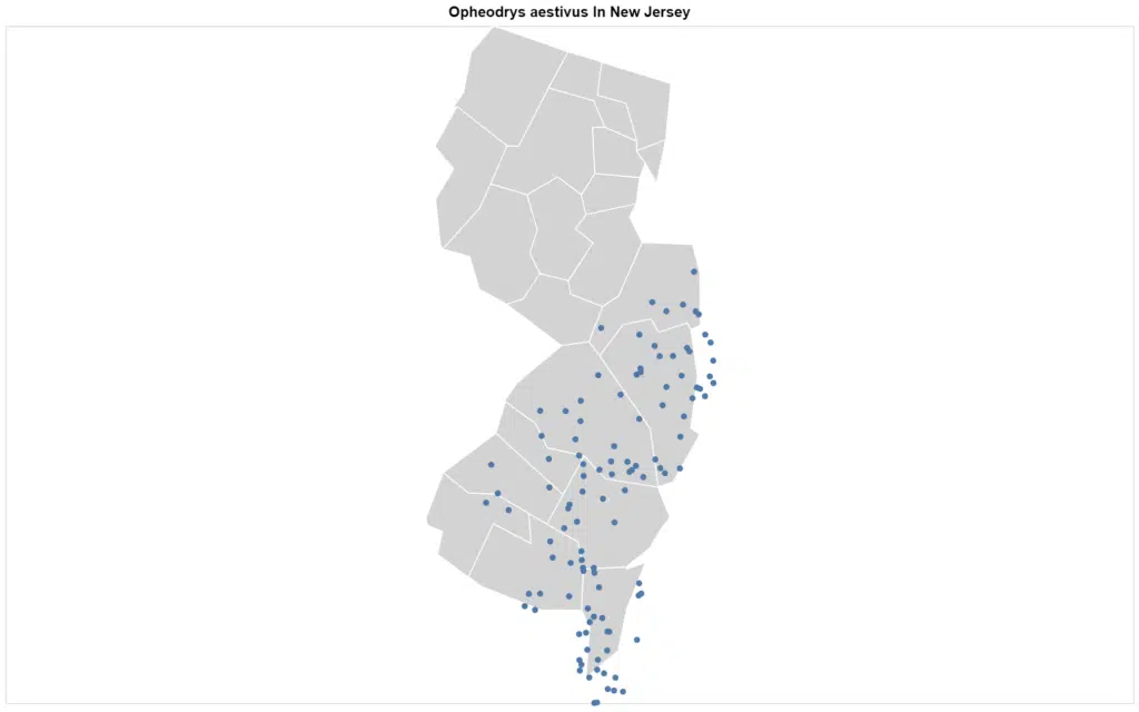 Opheodrys aestivus New Jersey map