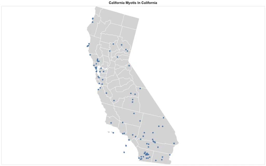 California Myotis in California
