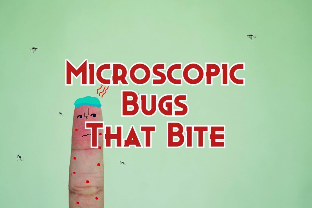 Microscopic Bugs That Bite