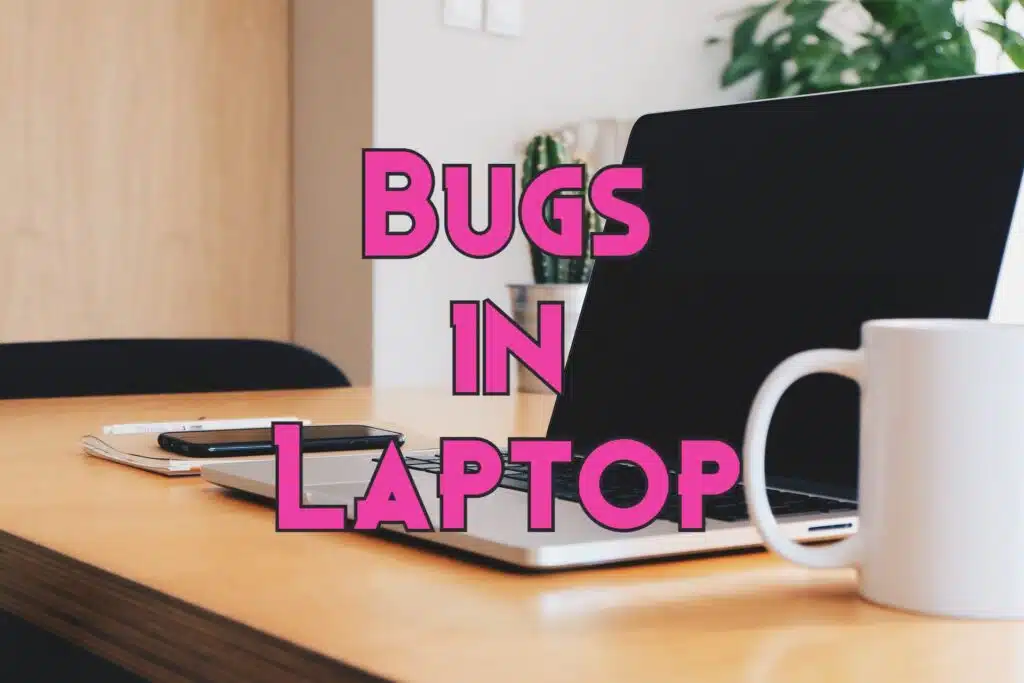 bugs in laptop
