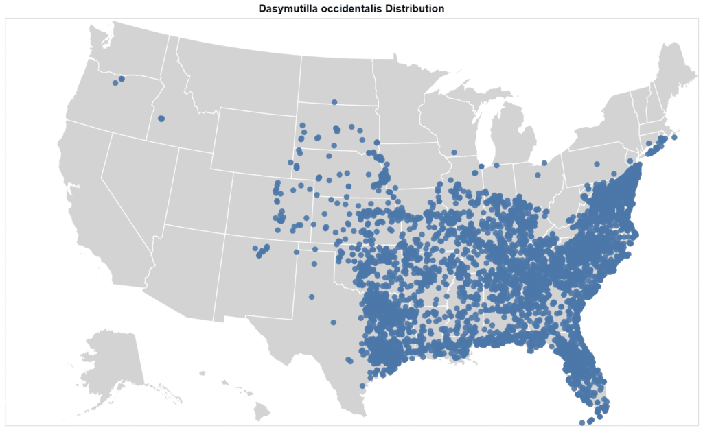 Dasymutilla occidentalis distribution