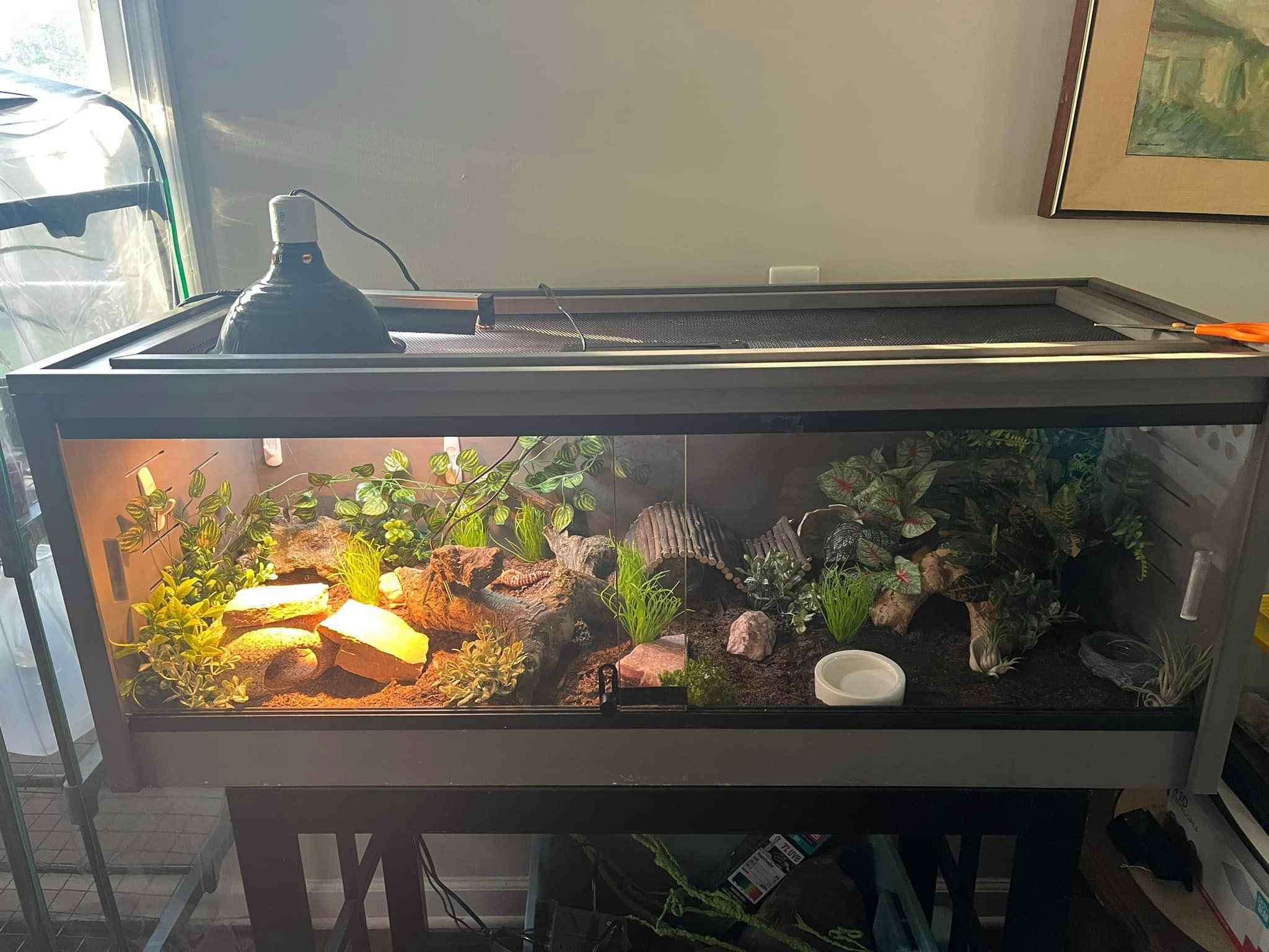 36 Leopard Gecko Enclosure Ideas