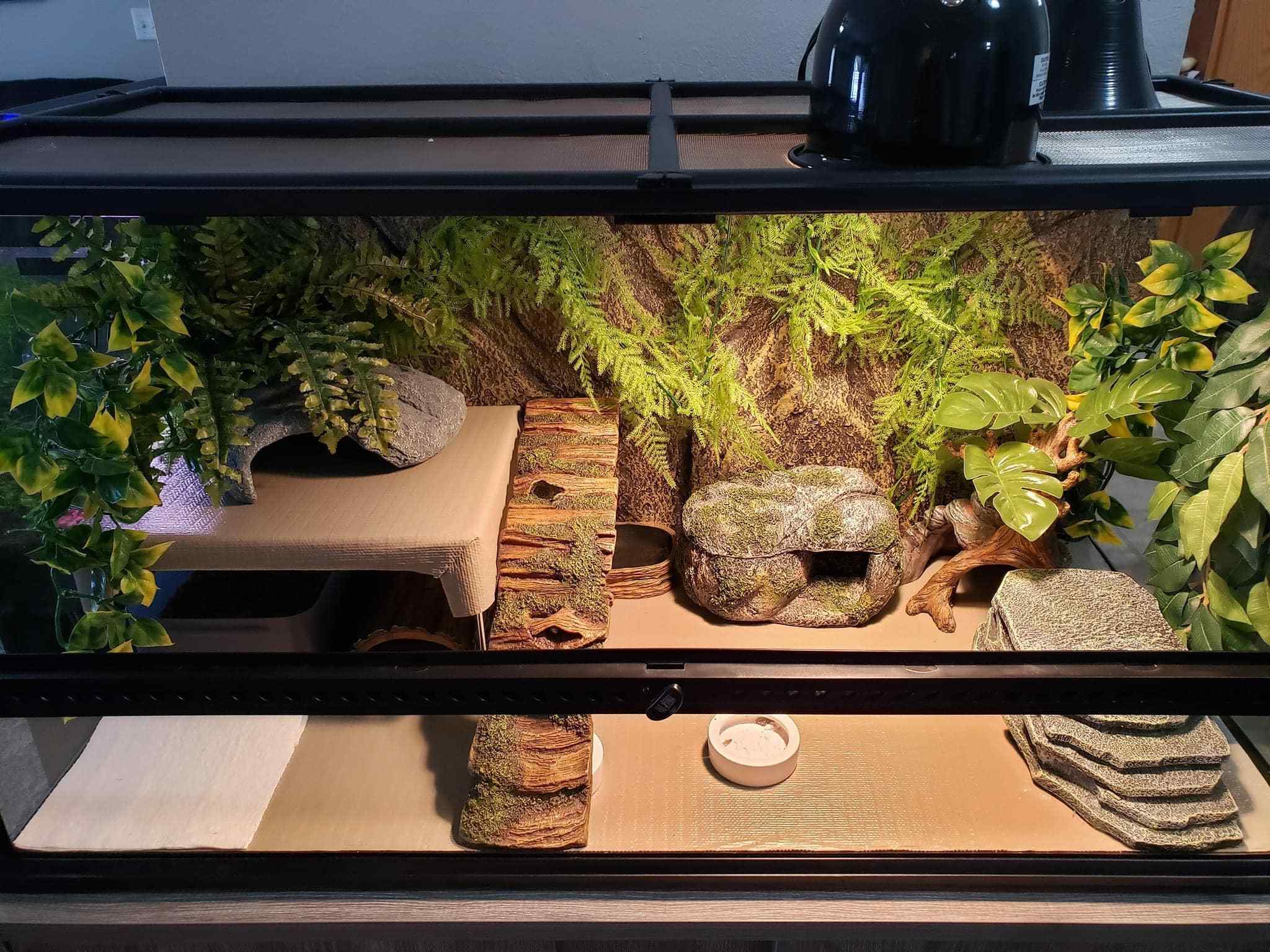 17 Enrichment Ideas For Your Leopard Gecko