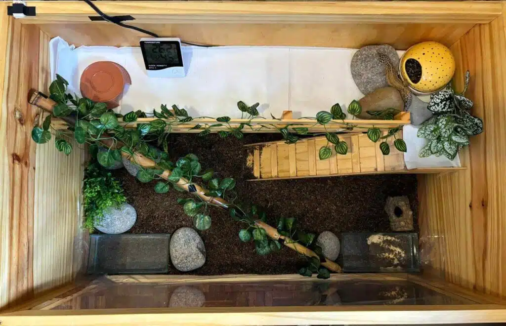 36 Leopard Gecko Enclosure Ideas