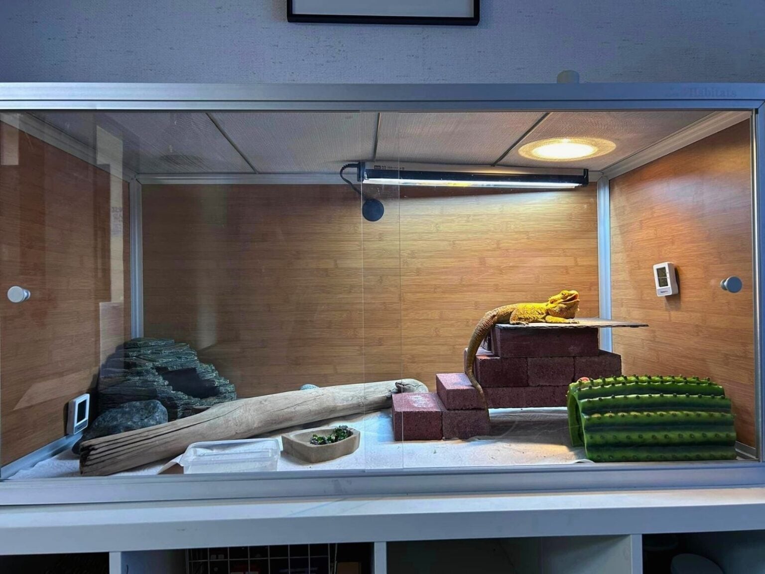 Gallery image with a fresh perspective