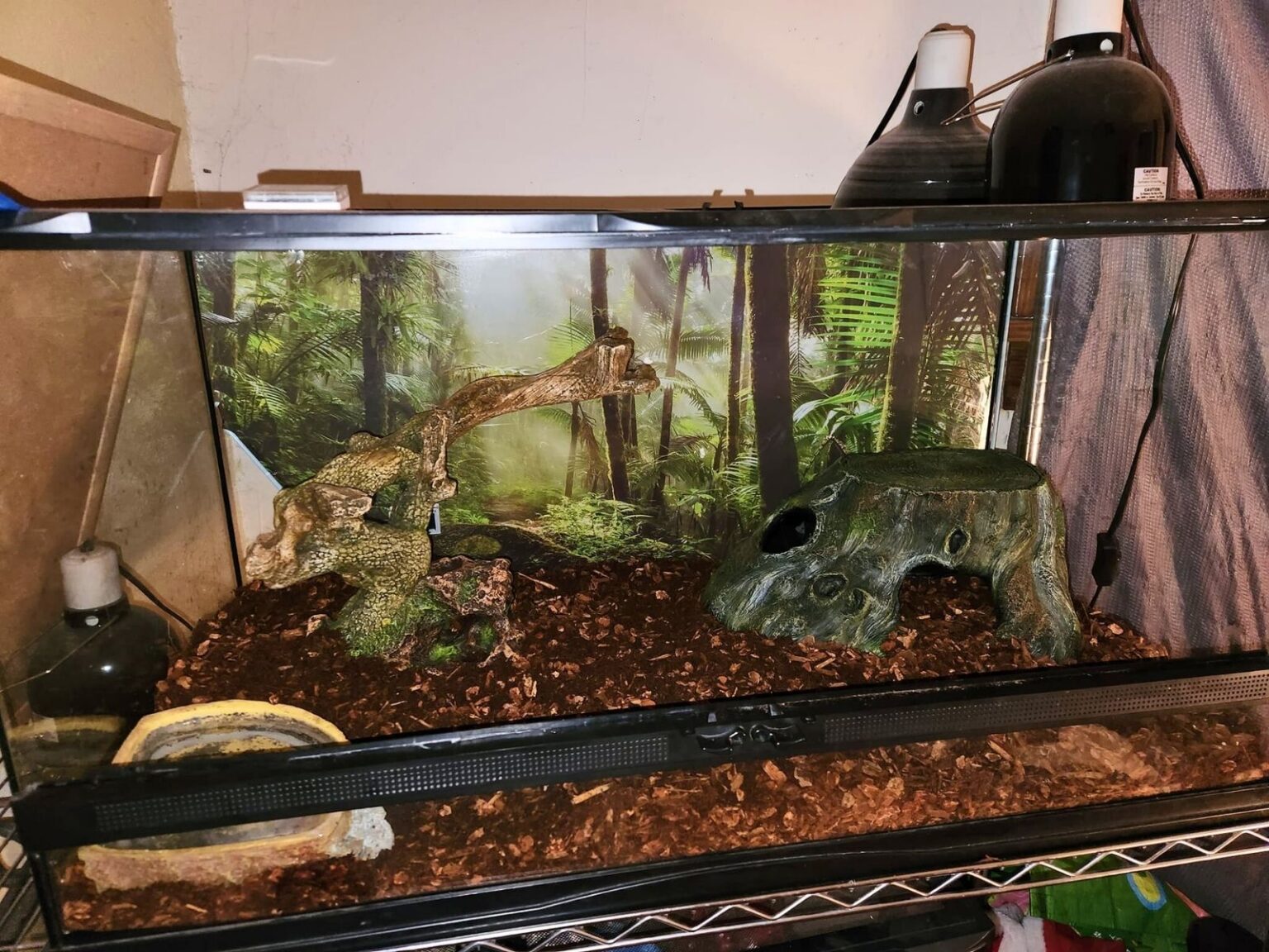 36 ball python enclosure ideas for any budget
