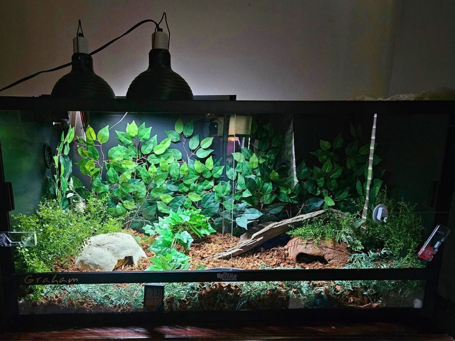 36 ball python enclosure ideas for any budget