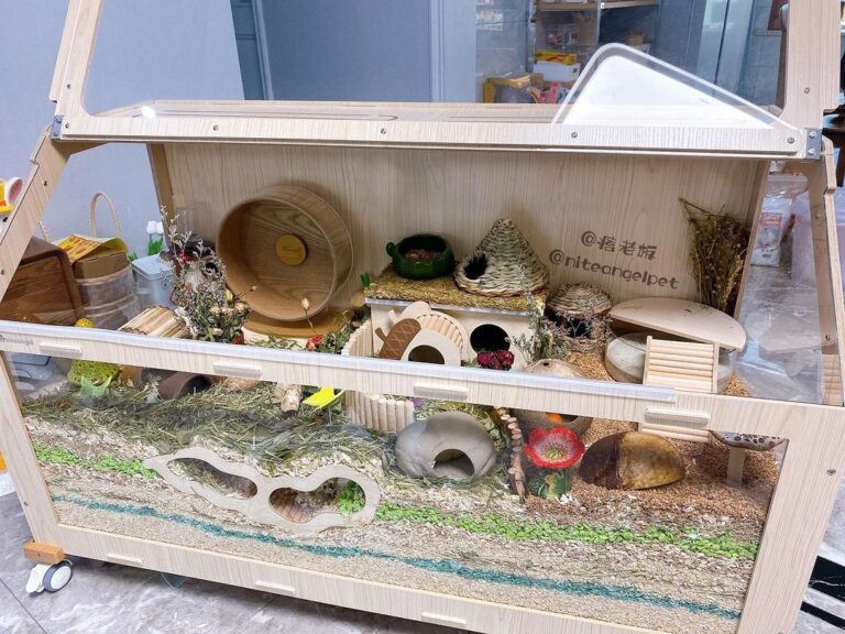 Image showcasing 35 Amazing Hamster Cage Ideas - ThePetEnthusiast
