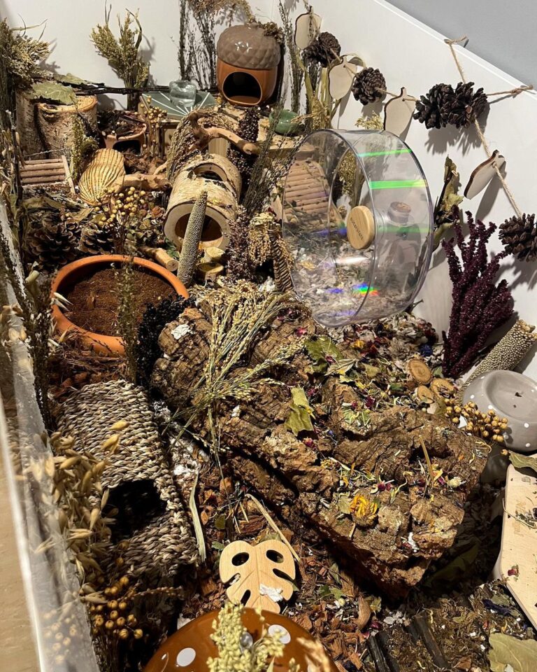 A closer look at Pirate Theme Hamster Cage