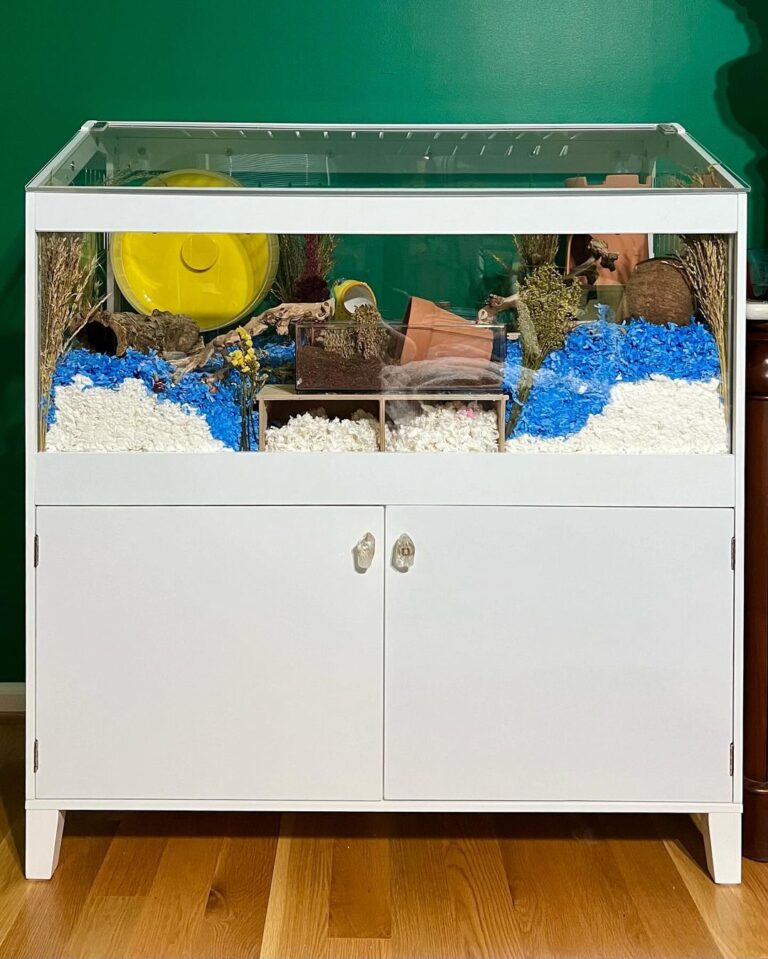 View of 35 Amazing Hamster Cage Ideas - ThePetEnthusiast