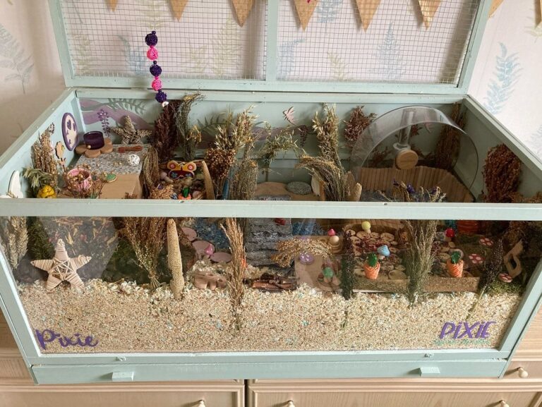 Picture of 35 Amazing Hamster Cage Ideas - ThePetEnthusiast