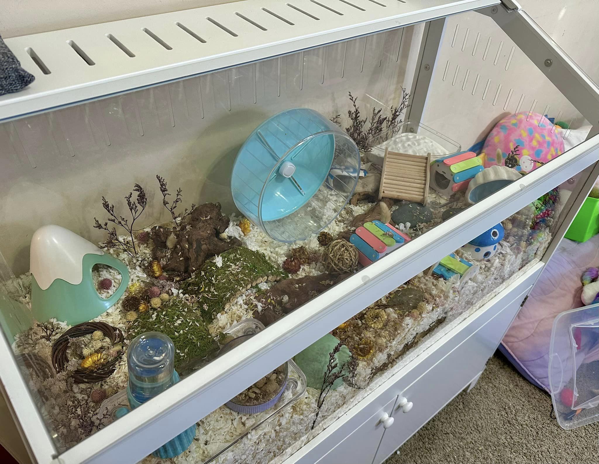 Curated visual reference: Fresh Look at 35 Amazing Hamster Cage Ideas