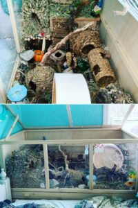 35 Amazing Hamster Cage Ideas - ThePetEnthusiast