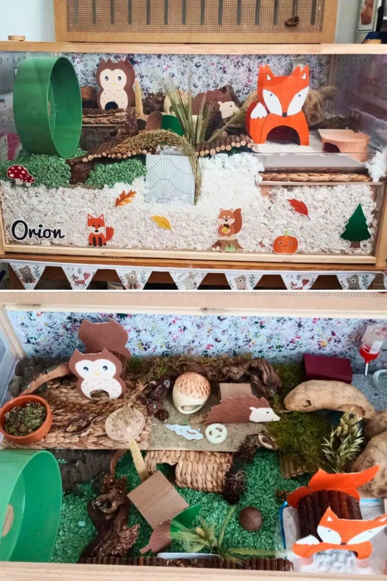35 Amazing Hamster Cage Ideas ThePetEnthusiast