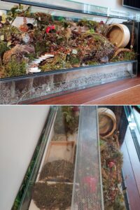 View of 35 Amazing Hamster Cage Ideas - ThePetEnthusiast