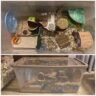 35 Amazing Hamster Cage Ideas - ThePetEnthusiast - Pirate Theme Hamster Cage