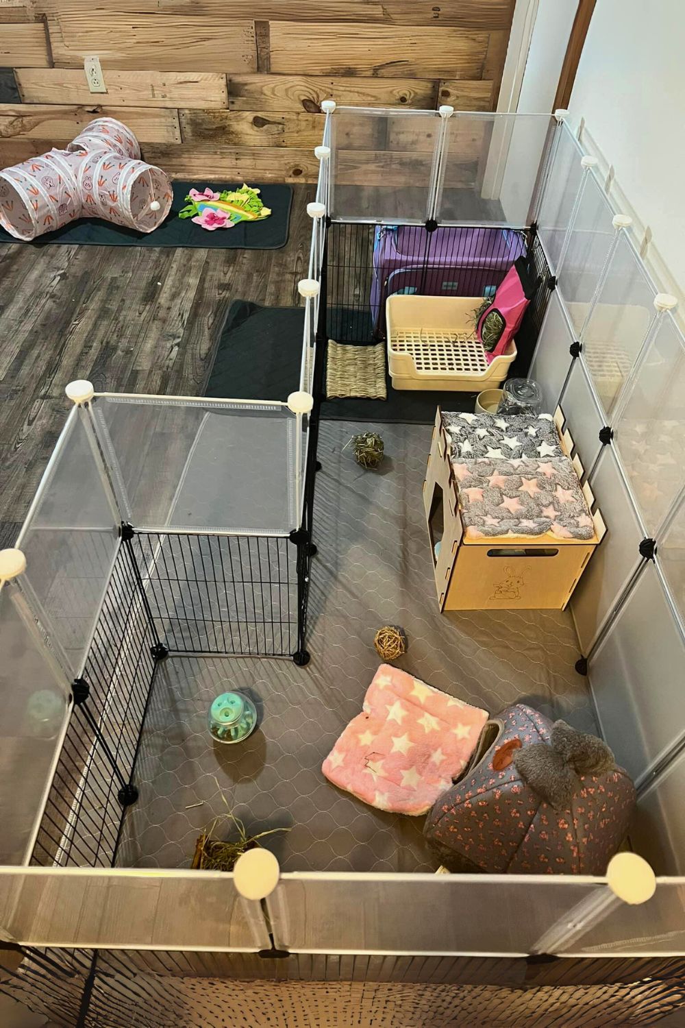 23 Unique Rabbit Indoor Cage Ideas - ThePetEnthusiast