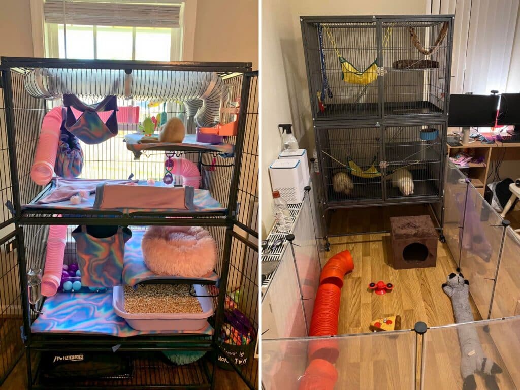 ferret cage ideas